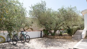 A stone-paved courtyard with two bicycles parked against a wall, surrounded by olive trees and a stone retaining wall.