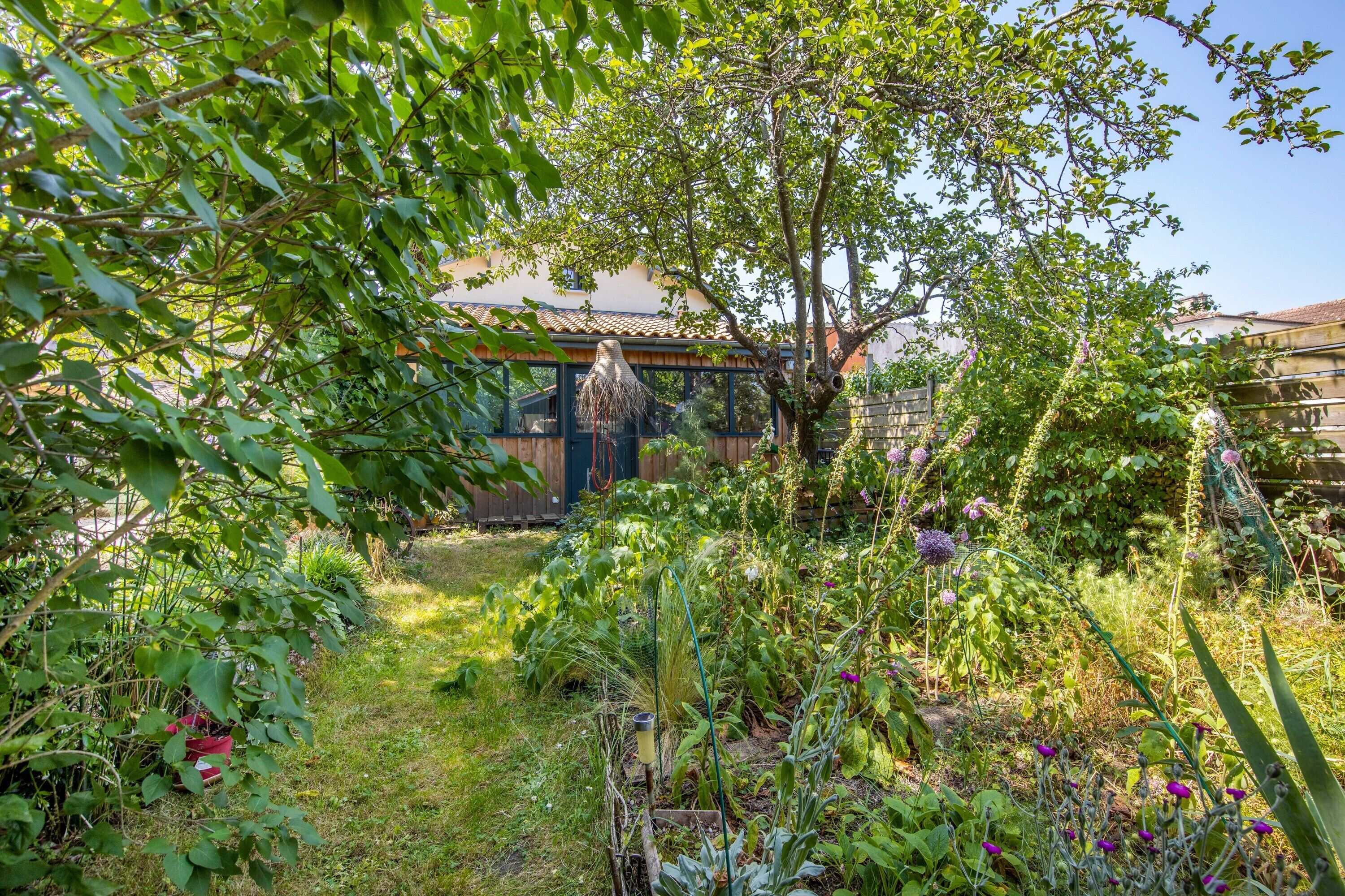 Jardí amb diverses plantes i una tanca de fusta.