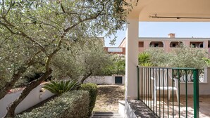 A covered outdoor area with steps leading to a building, surrounded by olive trees and a white wall.