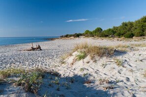 Playa en los alrededores 
