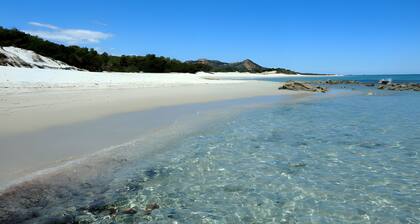 Apartment 'Degli Ulivi' with Private Terrace, Private Garden and Balcony