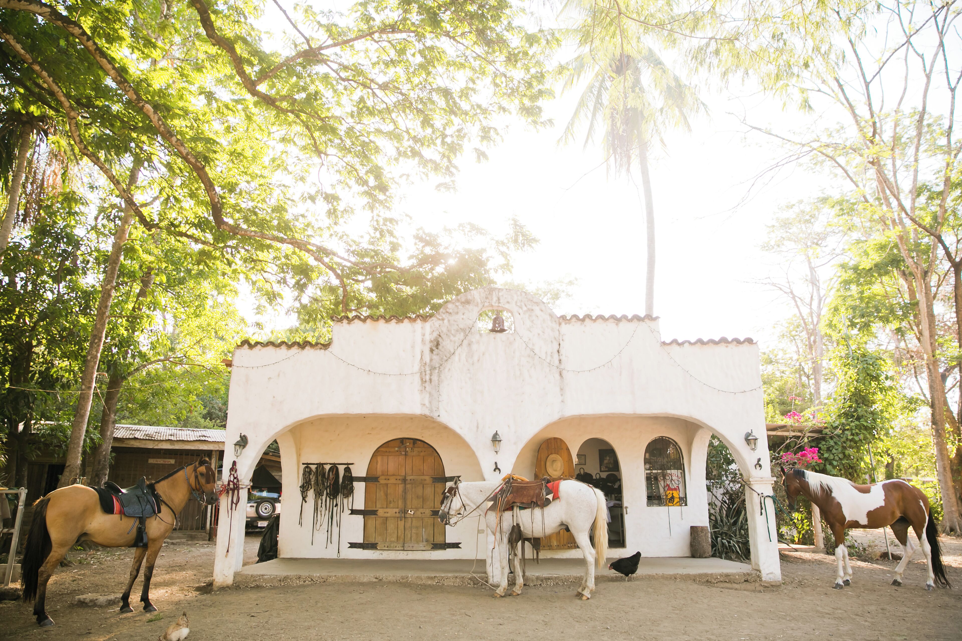 A white building with arched doorways and a horse in front.