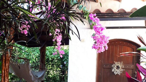 A garden with a wooden door, a hammock, and a variety of plants. - A Tropical Paradise - Painted Pony Ranch B&B just 25 minutes to Pacific Beaches (Portegolpe)