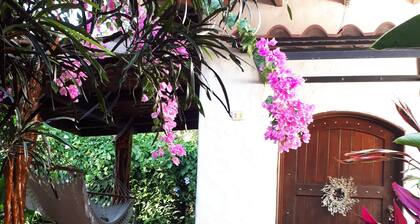 A Tropical Paradise - Painted Pony Ranch B&B just 25 minutes to Pacific Beaches