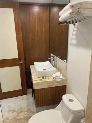 Shower, towels, toilet paper