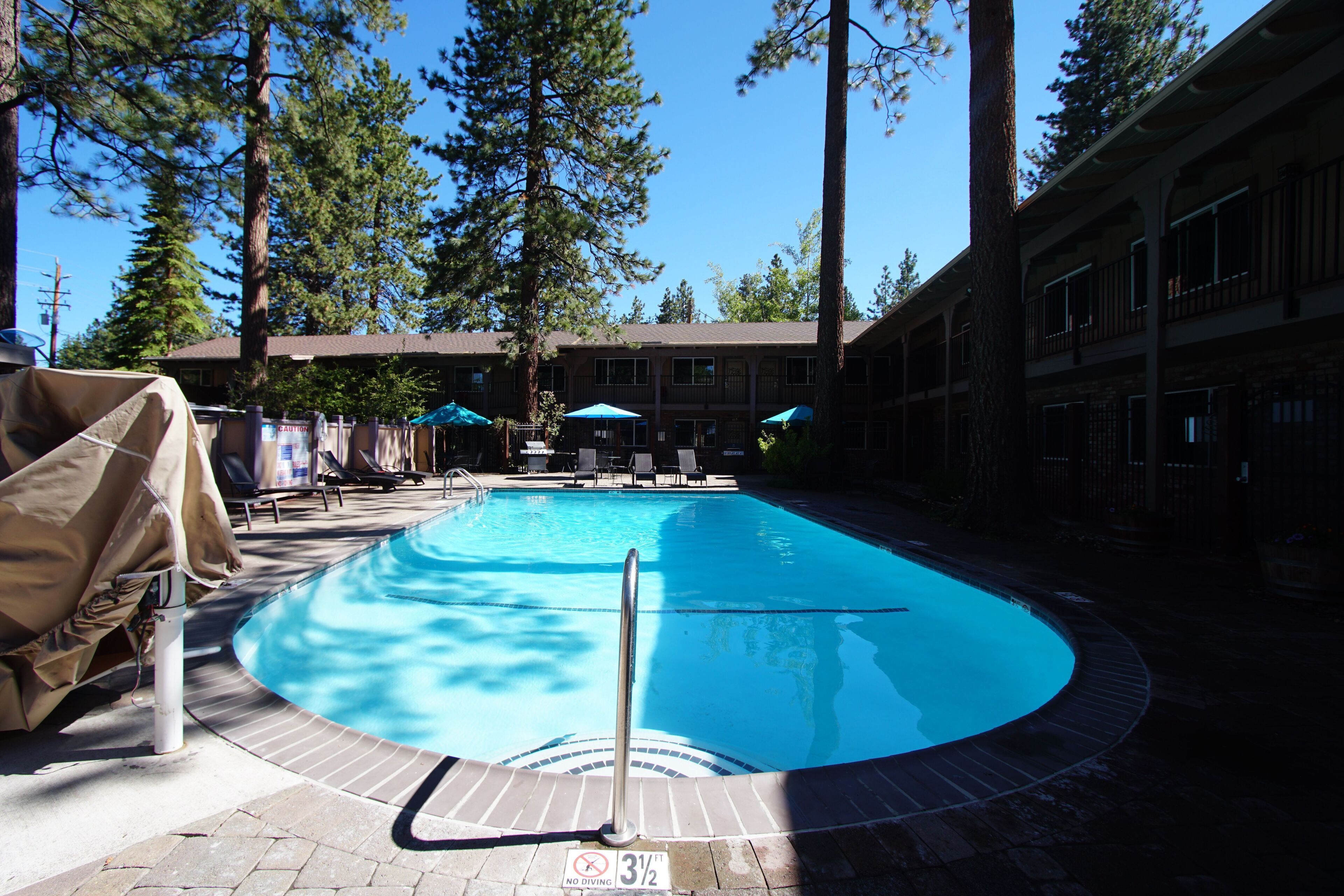 A swimming pool with a no diving sign, lounge chairs, and umbrellas.
