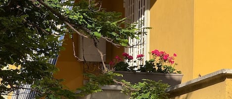 Detalj exteriör