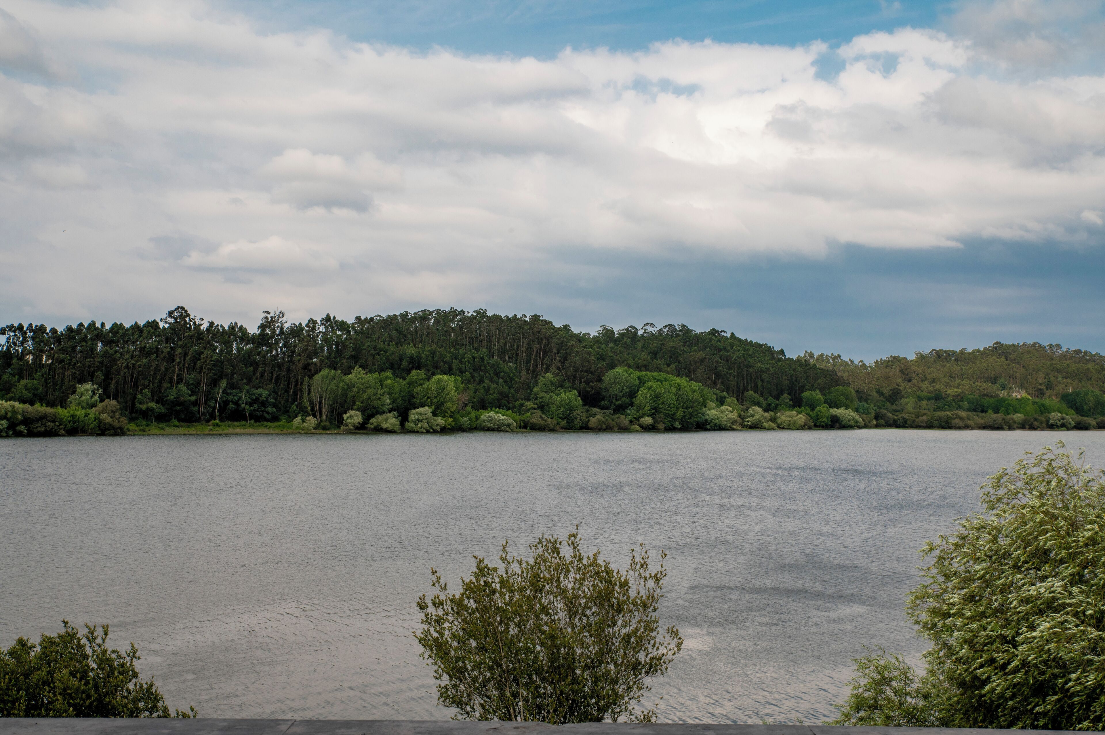 A calm lake with a forested shoreline and a cloudy sky.