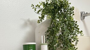 A bathroom shelf with a green container labeled "Portfolio," a white bottle labeled "PAN," and a hanging green plant. - 113 -The Sandlot- King Suite & Silver Dollar City Gem! (Branson)