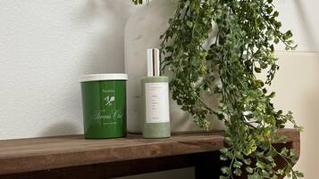 Hair dryer, towels, soap, toilet paper