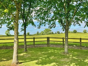 Unclassified image, 3 of 12, button