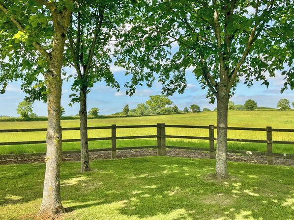 Unclassified image, 1 of 12, button