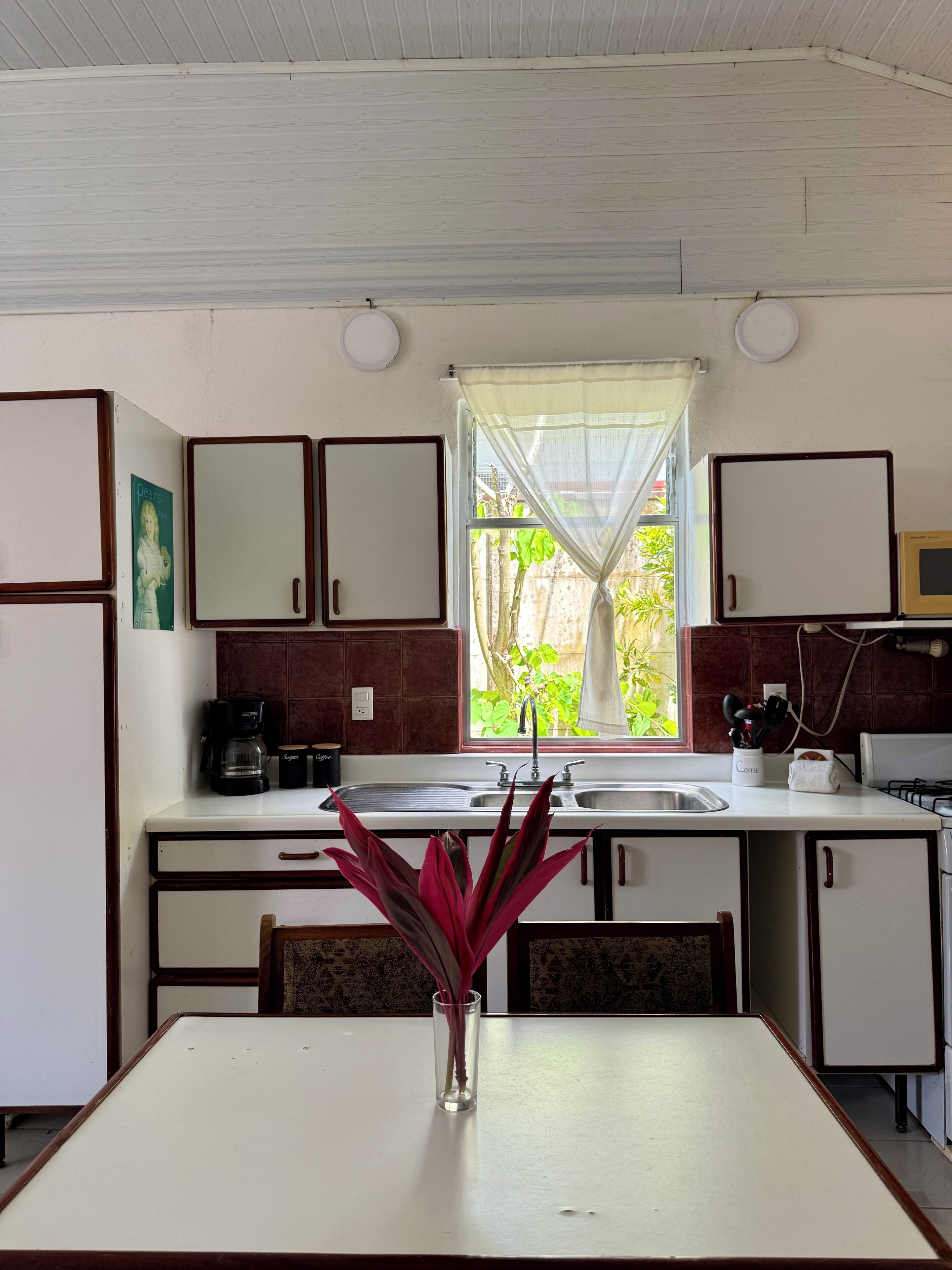 A compact kitchen with white cabinets, a coffee machine, and a window with a view of greenery.