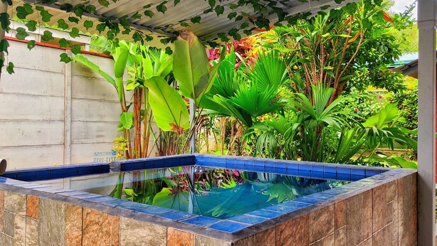 A swimming pool with blue tiles, surrounded by lush tropical plants and a white wall. - Villas Cozy Sloth (Puerto Viejo de Talamanca)