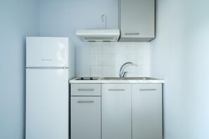 Fridge, stovetop, cookware/dishes/utensils