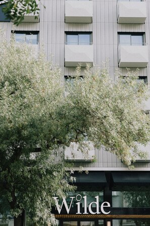 Vista desde la propiedad