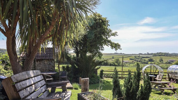 A rustic outdoor seating area with wooden benches and a raised garden bed with plants. - The Spyway Inn (Dorchester)