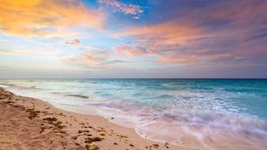 Een strand met heldere lucht en rustig water.