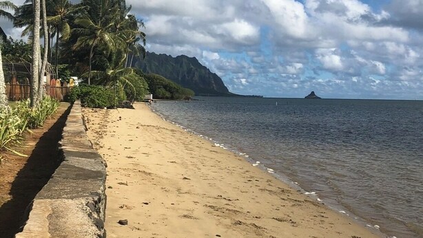 Una playa con un paseo marítimo de concreto, palmeras y una montaña al fondo.