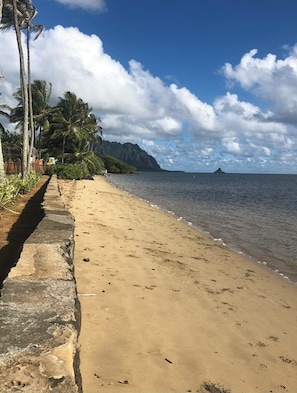 Sun-loungers, beach towels