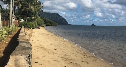 Hale Koolau 2-bedroom house with WiFi, W/D and AC in lovely Kaneohe 30days