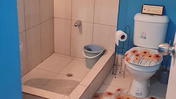 Ducha, secador de pelo, toallas y papel higiénico