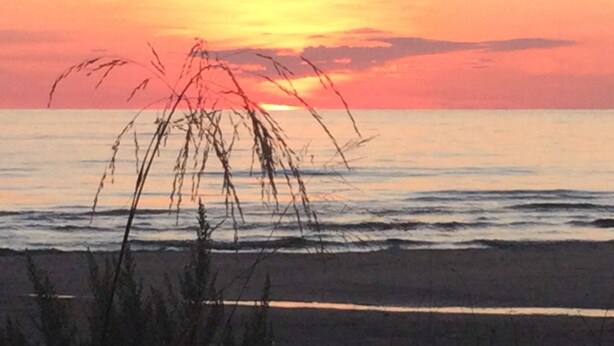 A beach scene with a sunset over the ocean, grasses in the foreground, and a clear sky. - Cottage Retreat 75 Steps from the shores of spectacular Lake Huron, Sauble Beach (Sauble Beach)