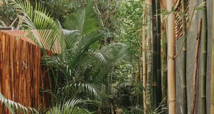KAáK, AN OASIS WITH A GREAT LOCATION, IDEAL FOR RECONNECTING WITH NATURE.