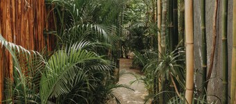 KAáK, AN OASIS WITH A GREAT LOCATION, IDEAL FOR RECONNECTING WITH NATURE.