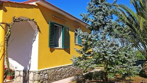 A yellow building with a stone foundation, a window with green shutters, and a tree with blue foliage. - La Corte No.3 (Massa Lubrense)