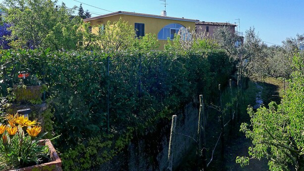 A yellow building with a blue window, surrounded by lush greenery. - La Corte No.3 (Massa Lubrense)