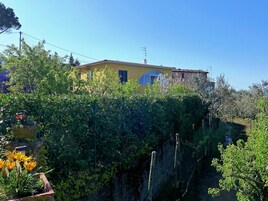 Vistas desde el alojamiento