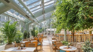 A spacious indoor area with high ceilings, large windows, and numerous wicker tables and chairs. - Appartment im Ferienpark in Schoneck (Schoeneck)