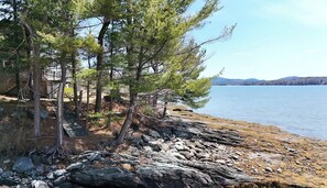 Property grounds - Berry Cove Cottage-Oceanfront! (Lamoine)