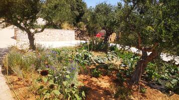 Área da propriedade