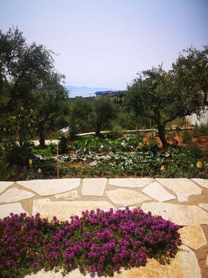 Jardines del alojamiento