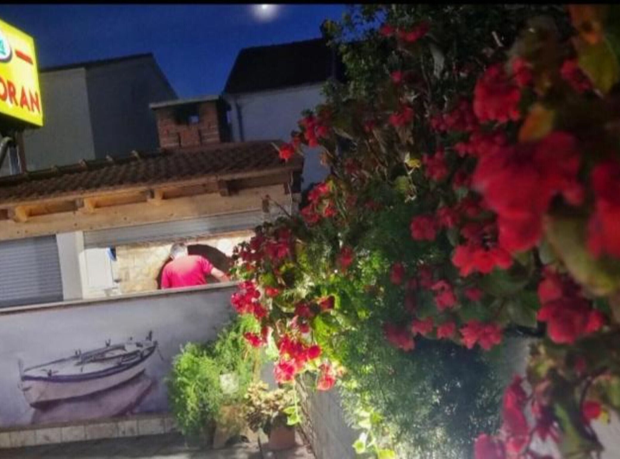 Um edifício com um mural de um barco, uma placa com texto parcialmente visível e um vaso de plantas com flores vermelhas.