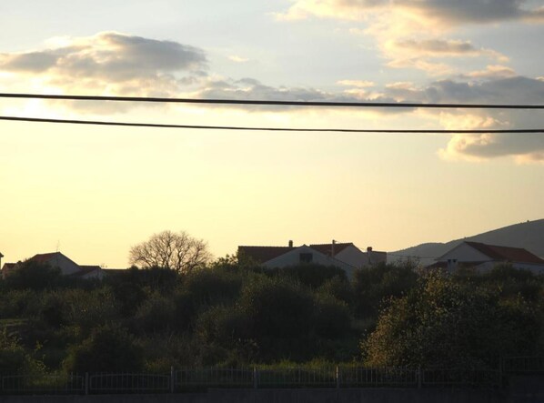 A residential area with houses and trees during sunset.