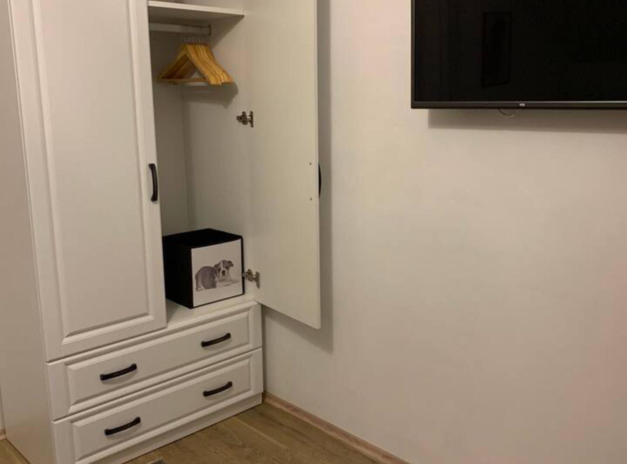 Un armadio bianco con tre cassetti e spazio per appendere, un quadro incorniciato di un cane e una televisione fissata al muro.