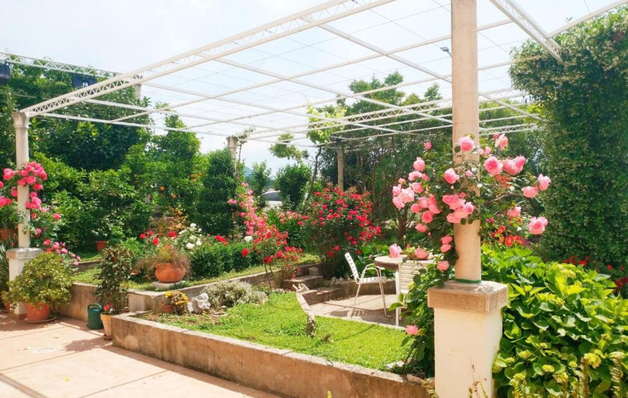 Un espace jardin aménagé et abrité, doté d’une pergola, de plantes en pot et de différentes variétés de plantes à fleurs.