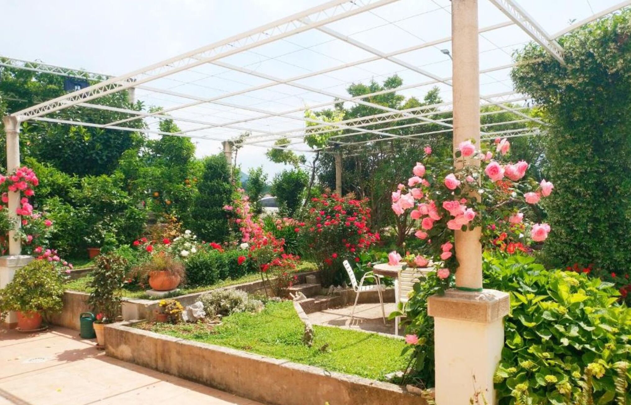Un espace jardin aménagé et abrité, doté d’une pergola, de plantes en pot et de différentes variétés de plantes à fleurs.