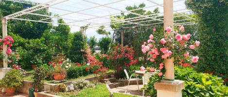Un espace jardin aménagé et abrité, doté d’une pergola, de plantes en pot et de différentes variétés de plantes à fleurs.