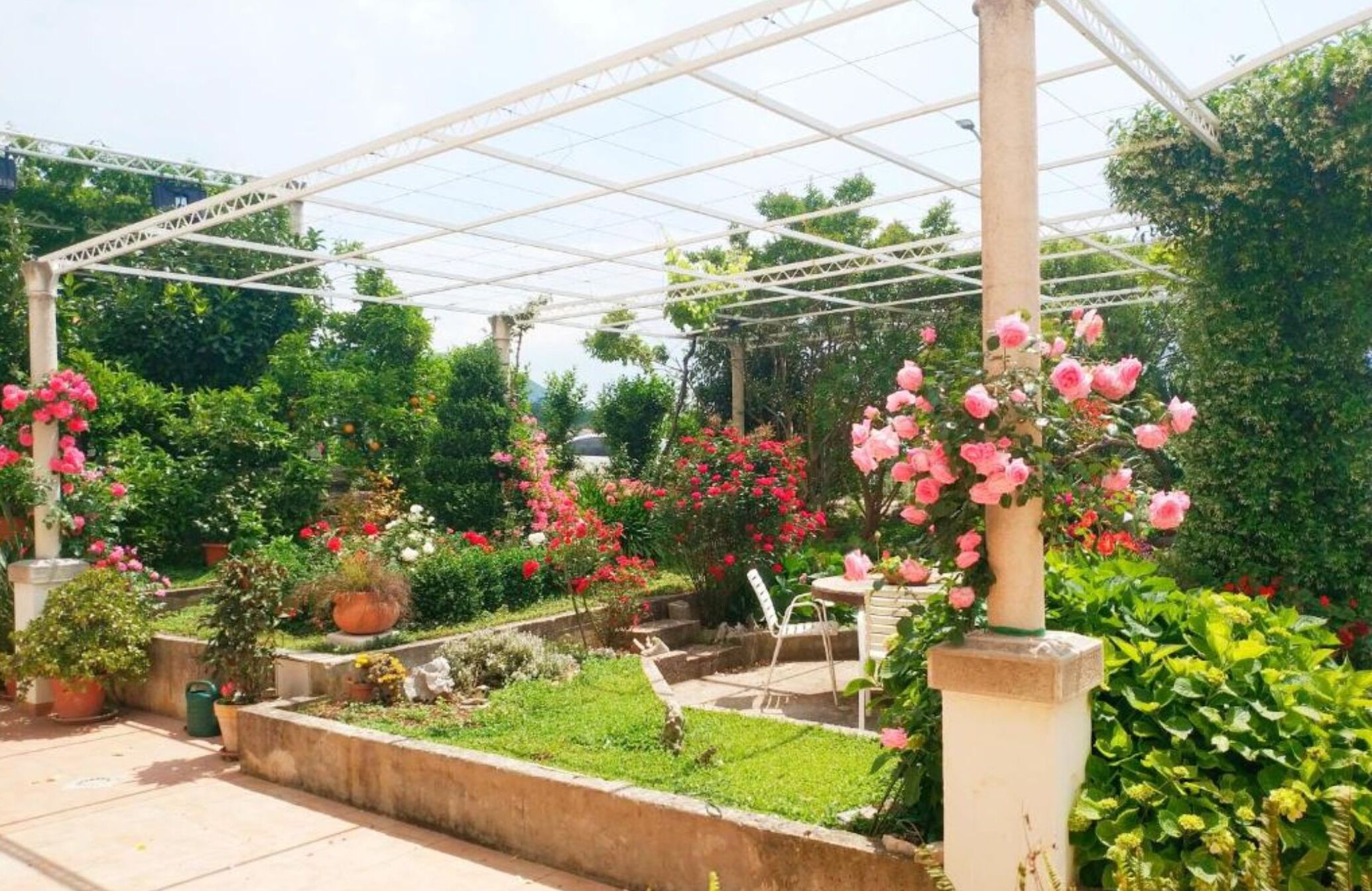 Un jardín cubierto con una estructura de pérgola, plantas en macetas y una gran variedad de plantas florecientes.