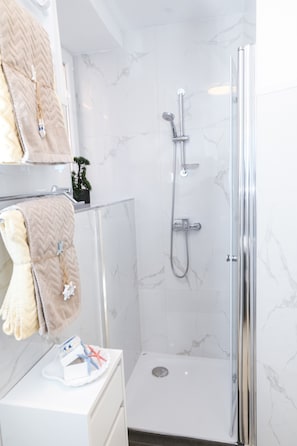 Shower, hair dryer, towels