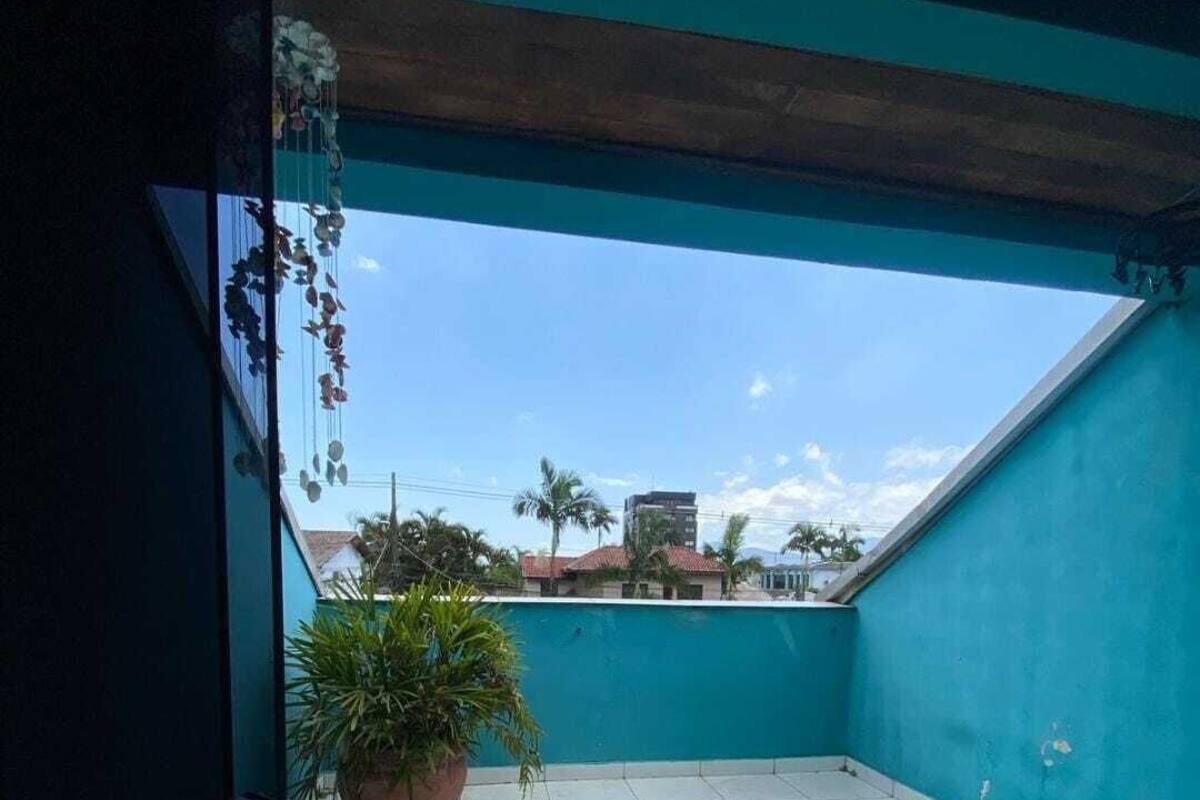 A rooftop terrace with a blue wall, a potted plant, and a view of buildings in the background.