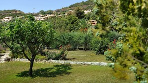Zona residencial amb cases damunt d'una collada, un arbre al primer terme i un cel serè.