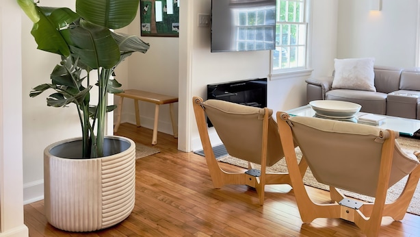 Una sala moderna con piso de madera, un comedor con mesa y sillas, una planta grande en maceta, un televisor de pantalla plana montado en la pared y un sofá con un cojín.