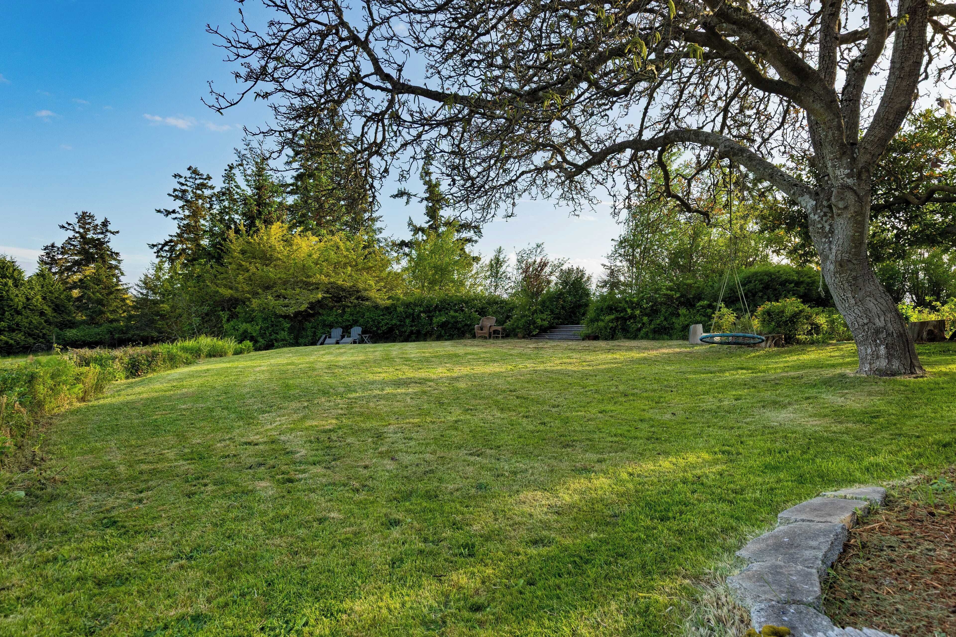 A grassy outdoor area with a large tree, a stone bench, and a stone pathway.