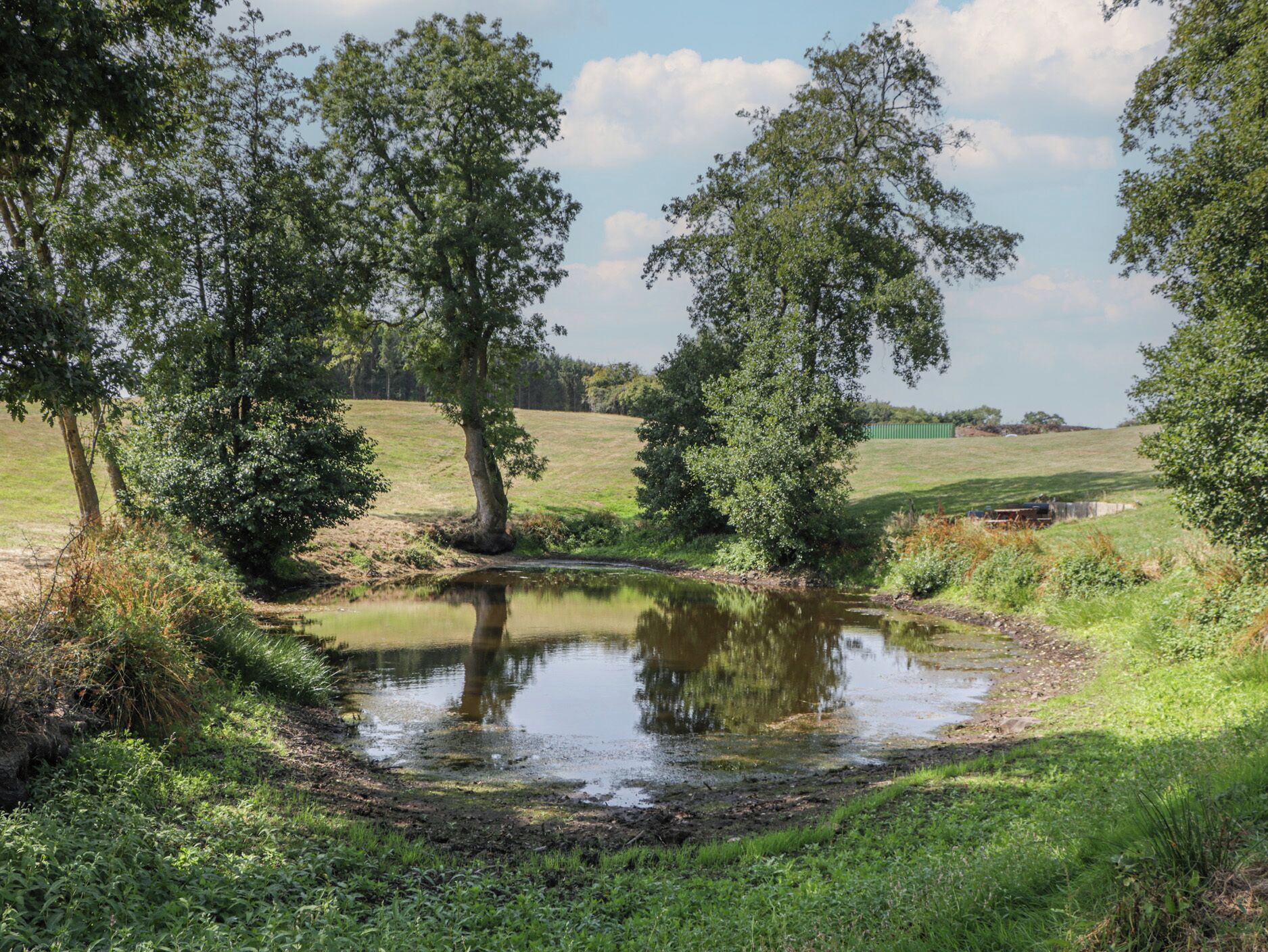 A natural landscape with a pond, trees, and a grassy field.