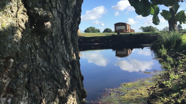 A rustic wooden building with a pond in the foreground, surrounded by greenery and a clear sky. - Hollie (Usk)